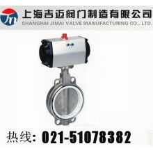 D671F4氣動(dòng)四氟蝶閥